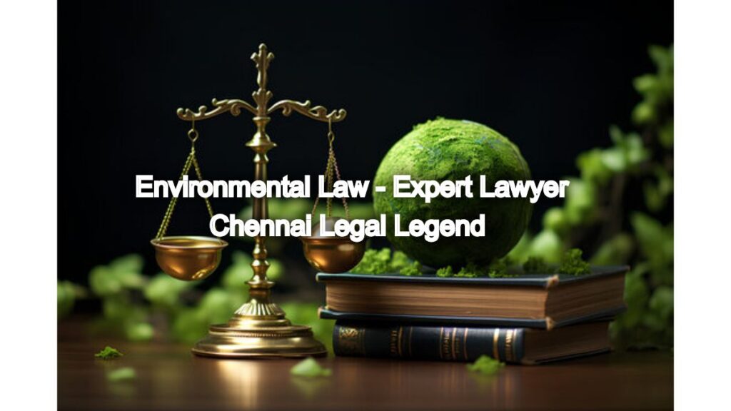 Environmental Law: Expert Lawyer's Advocacy in Action