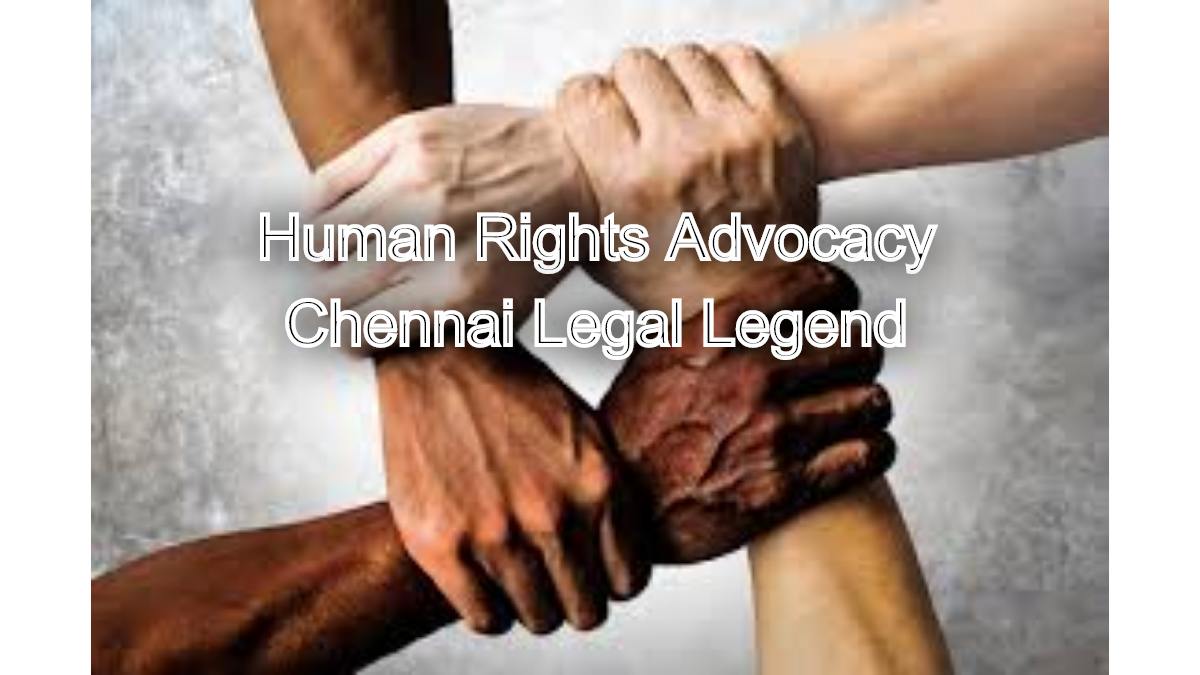 Human Rights Advocacy: Expert Lawyer's Impactful Work