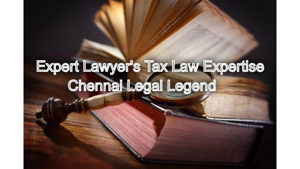 Expert Lawyer's Tax Law Expertise: Minimizing Risks