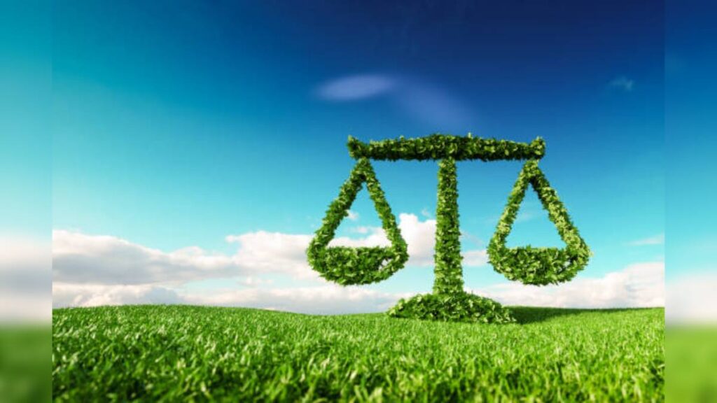 Environmental Law in Practice: Expert Lawyer's Success Stories