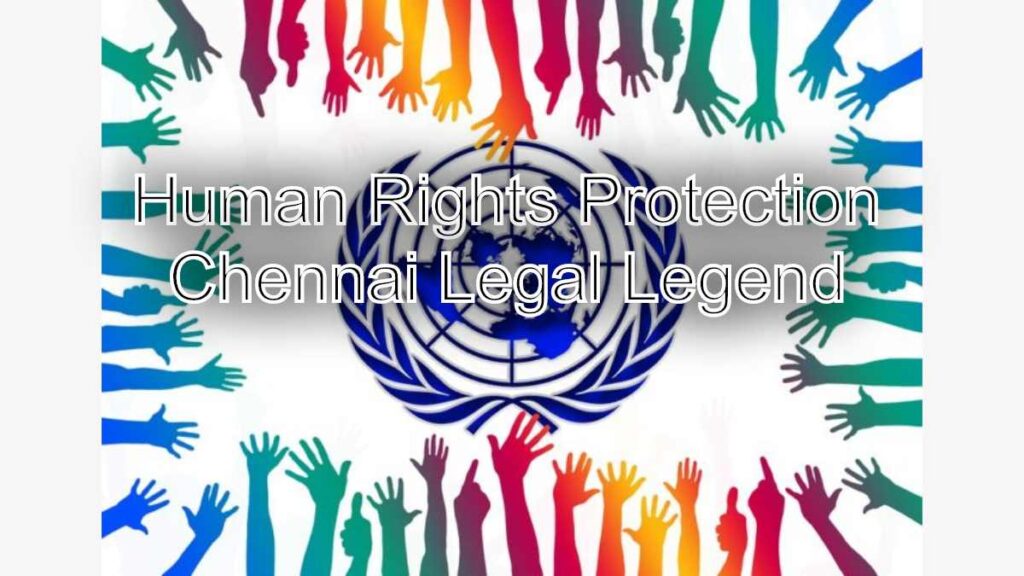 Human Rights Protection: Expert Lawyer's Advocacy Efforts