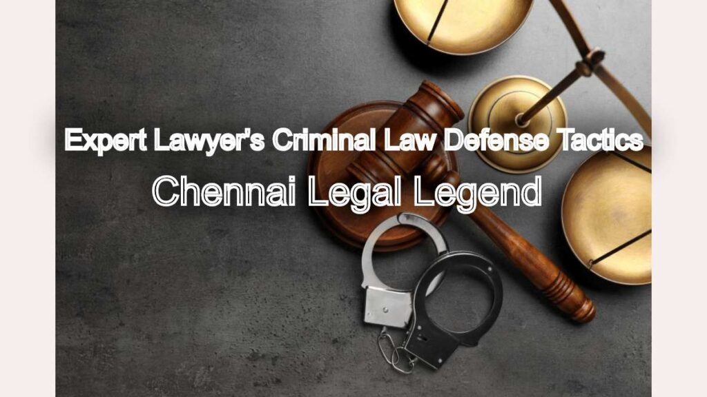 Expert Lawyer's Criminal Law Defense Tactics